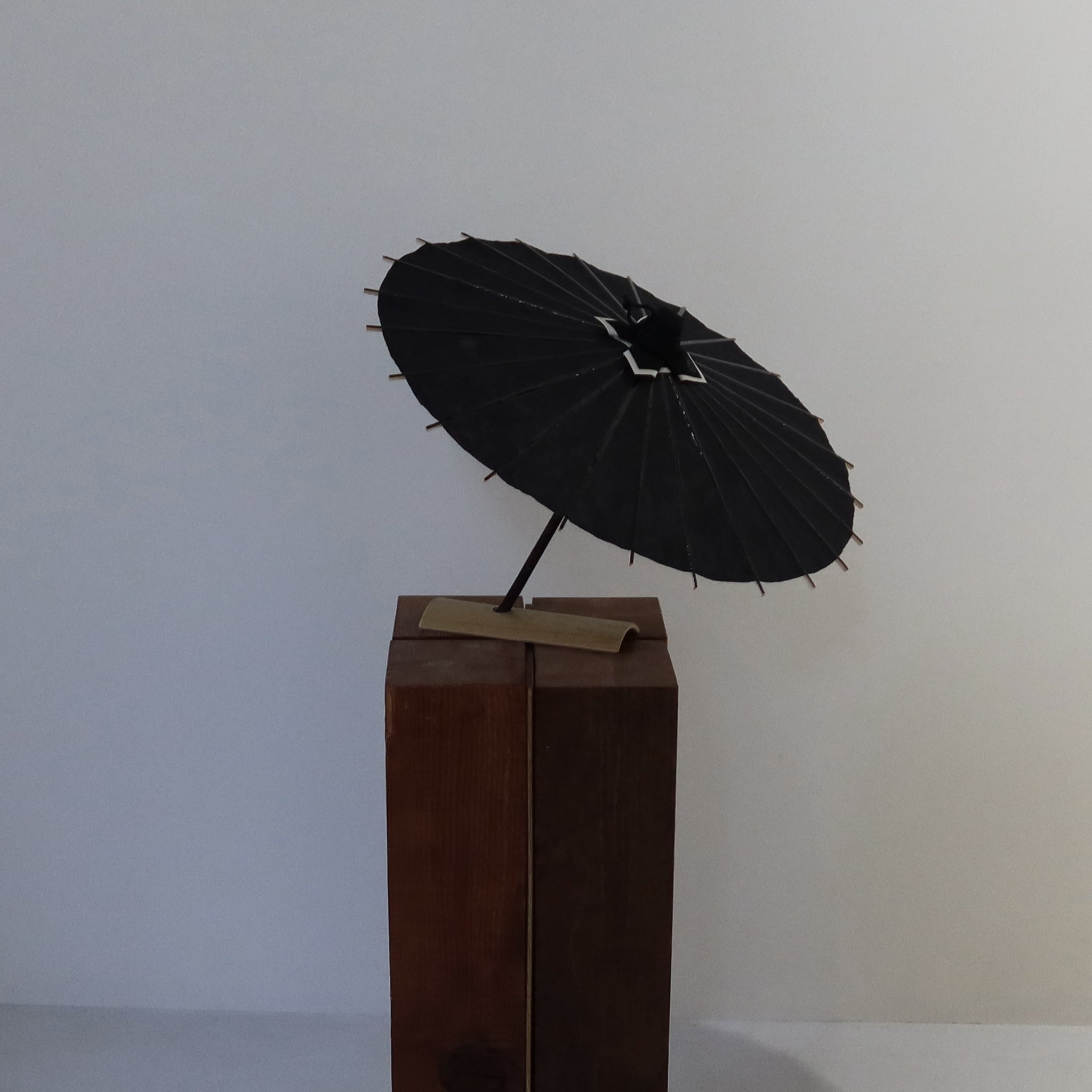 Kurotani Unryu Black | Limited Edition Hime - Wagasa - KURAKURA