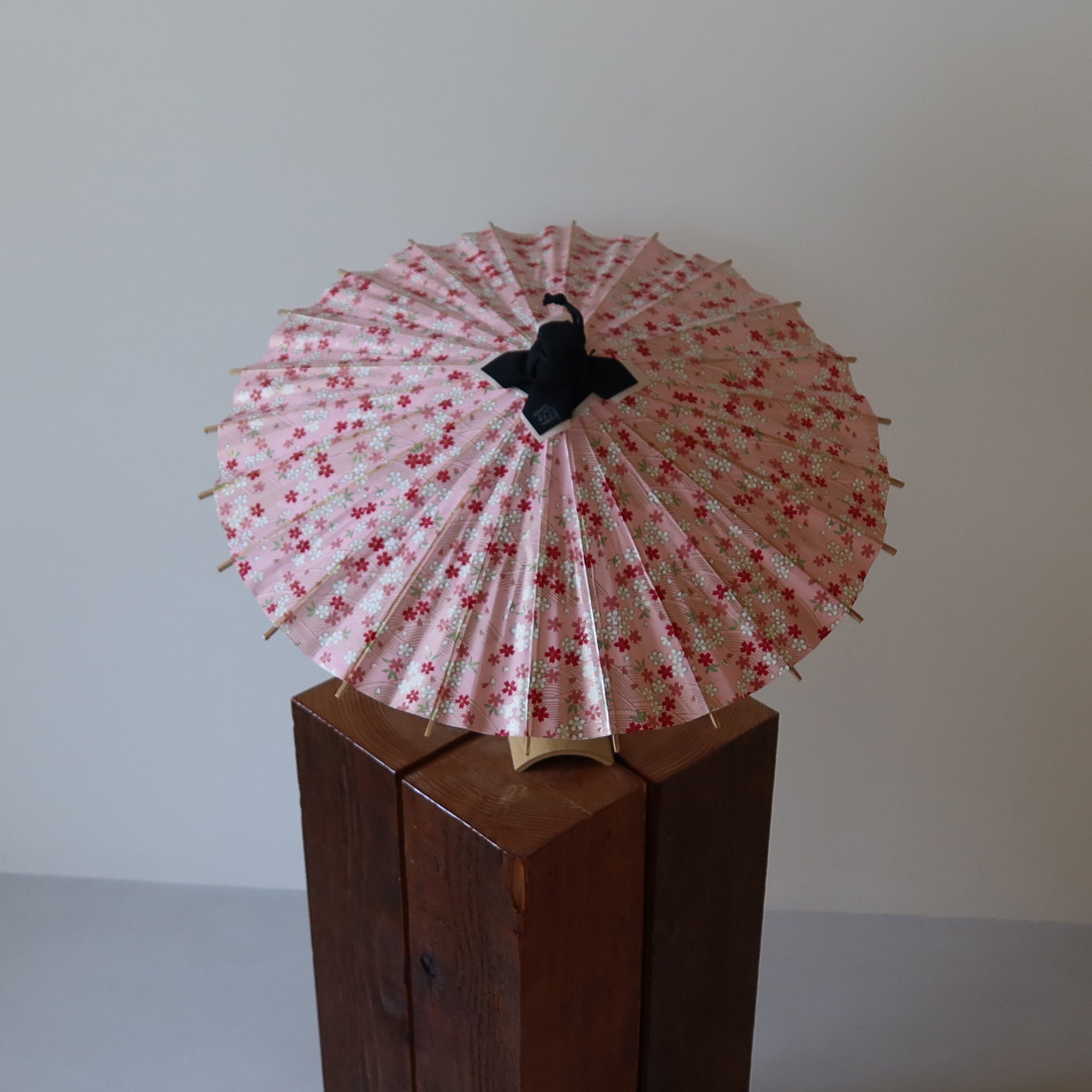 Sakura |Kyoto Blossom Hime - Wagasa - KURAKURA