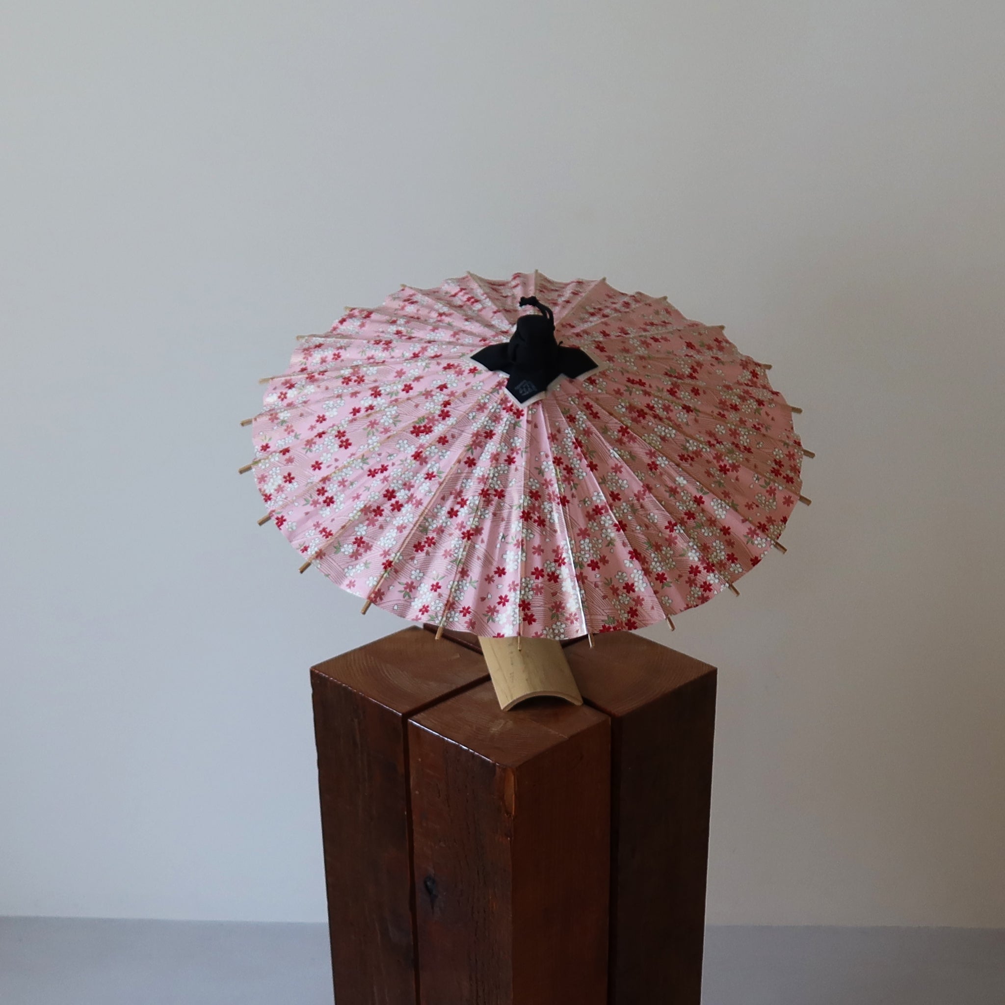 Sakura |Kyoto Blossom Hime - Wagasa - KURAKURA