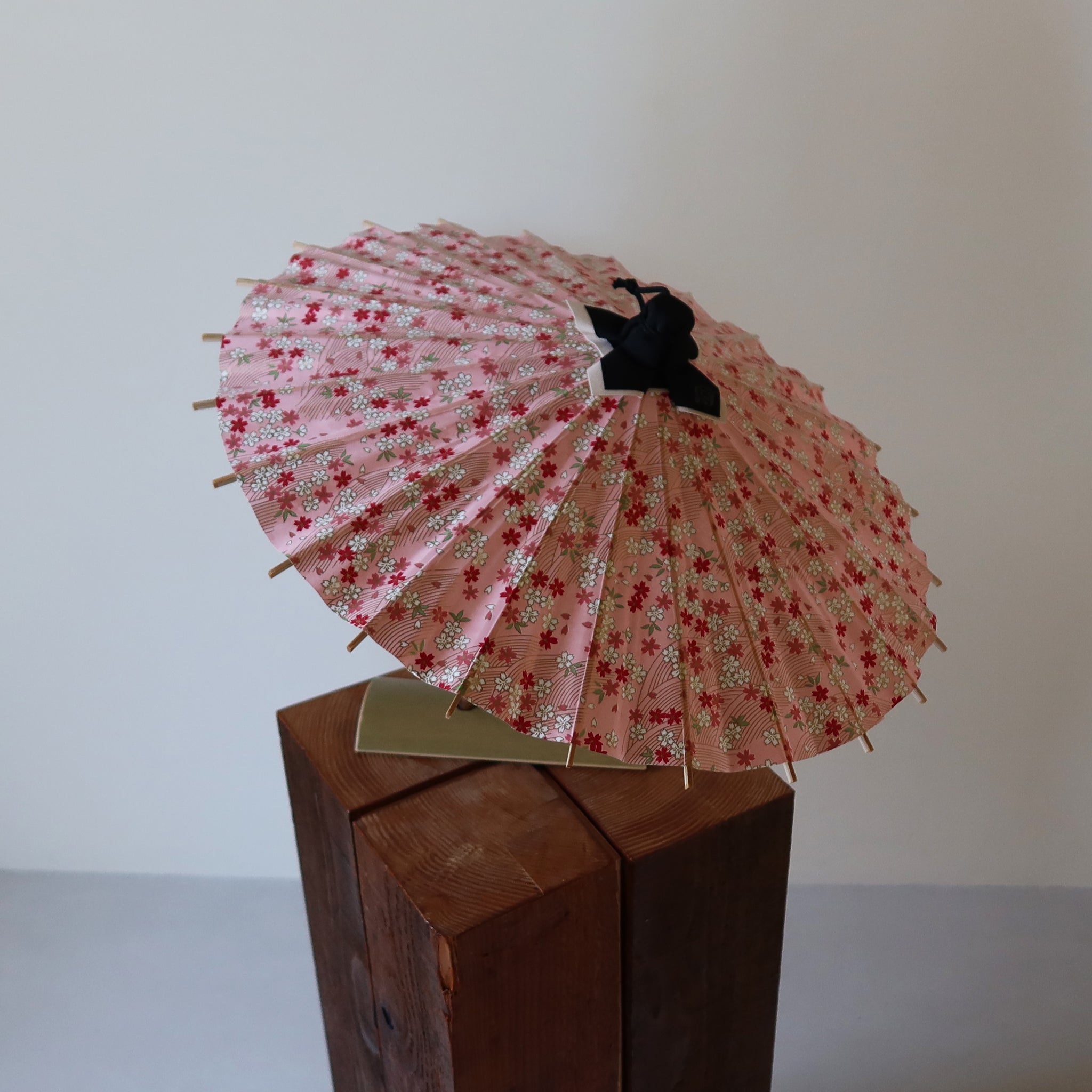 Sakura |Kyoto Blossom Hime - Wagasa - KURAKURA