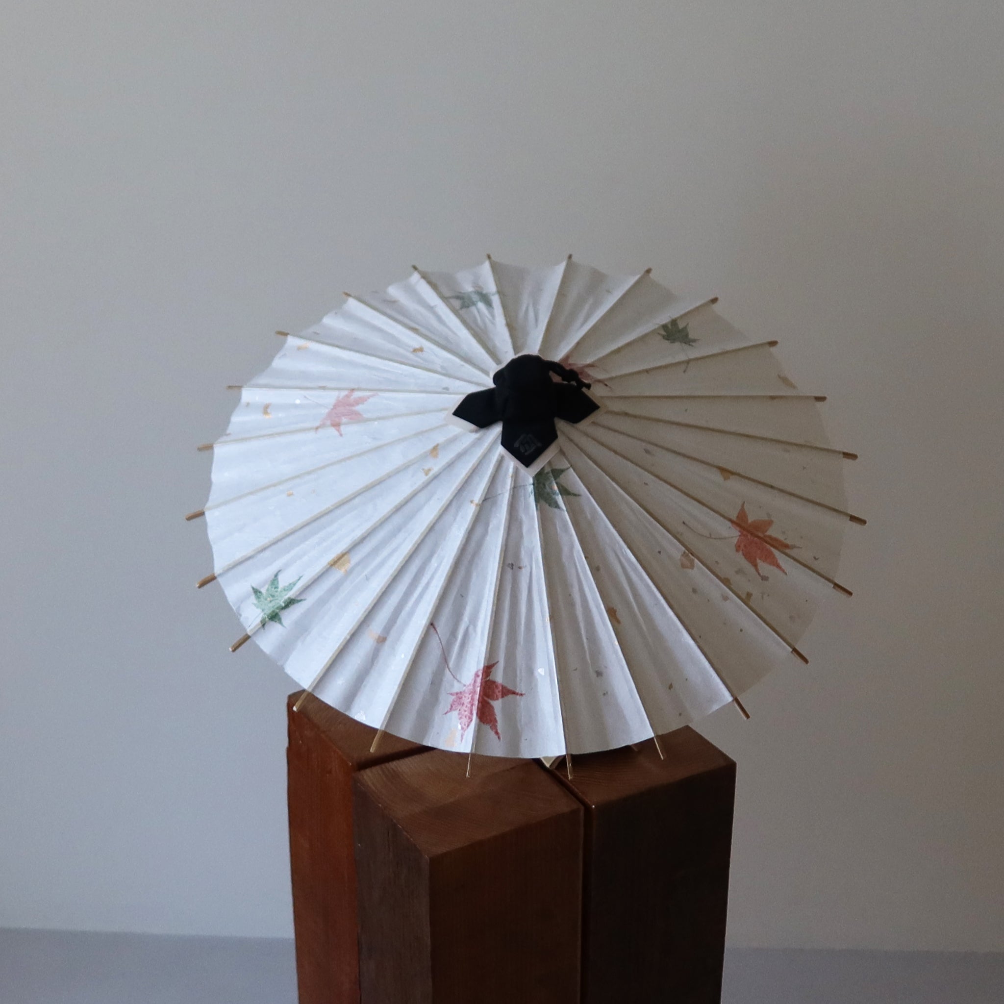 Momiji | Hand - picked Autumn Maple - KURAKURA