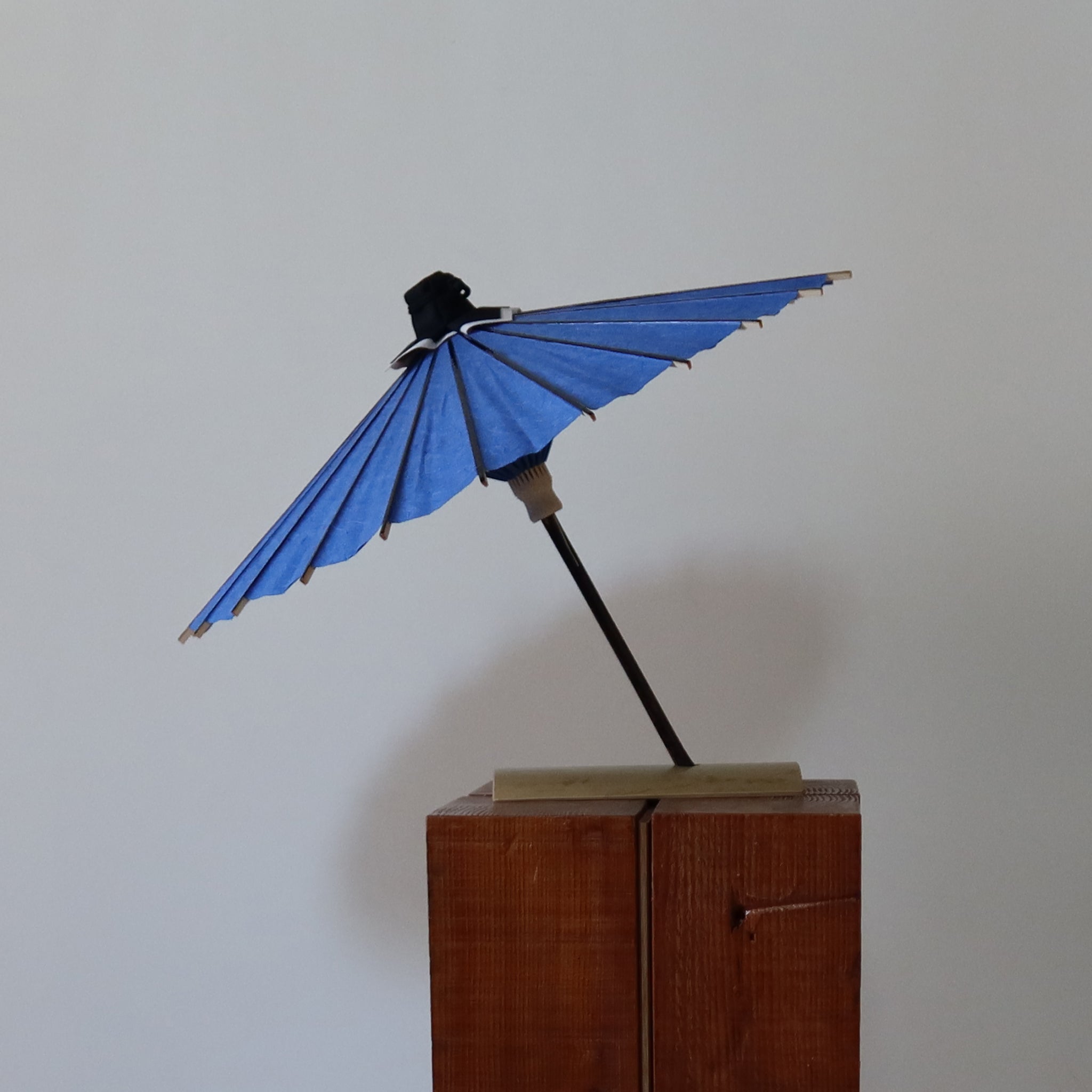 Ai - unryu | Authentic Hime - Wagasa (Indigo Blue) - KURAKURA