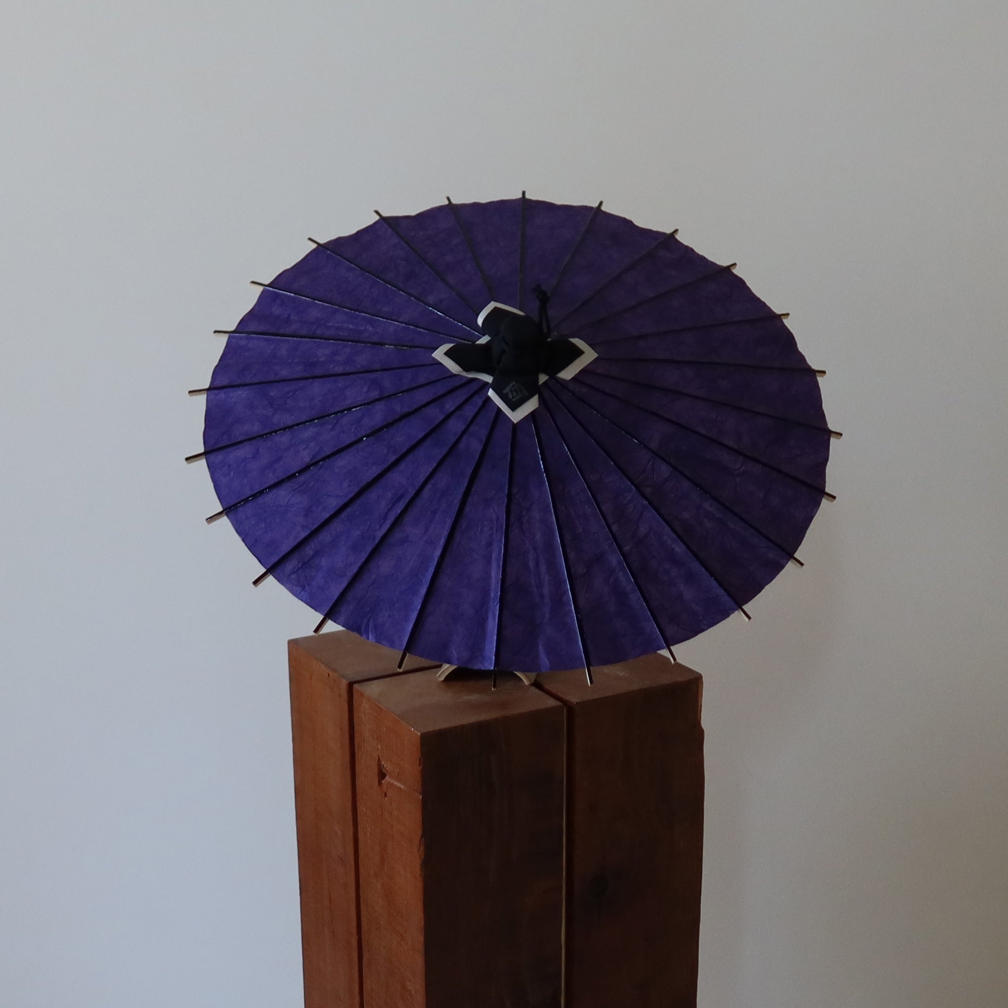 Kurotani Unryu Purple | Limited Edition Hime - Wagasa - KURAKURA