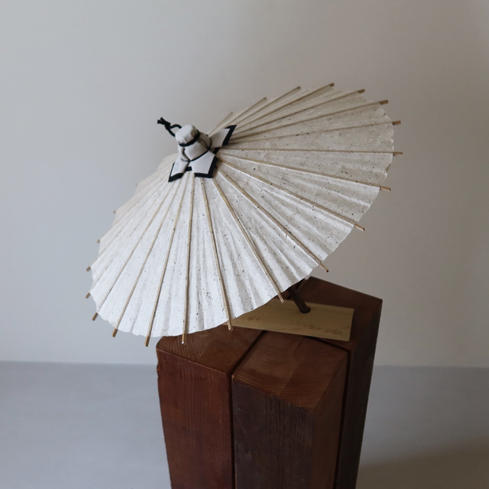 Fubuki | Kurotani Hand - crafted Washi Hime - Wagasa - KURAKURA