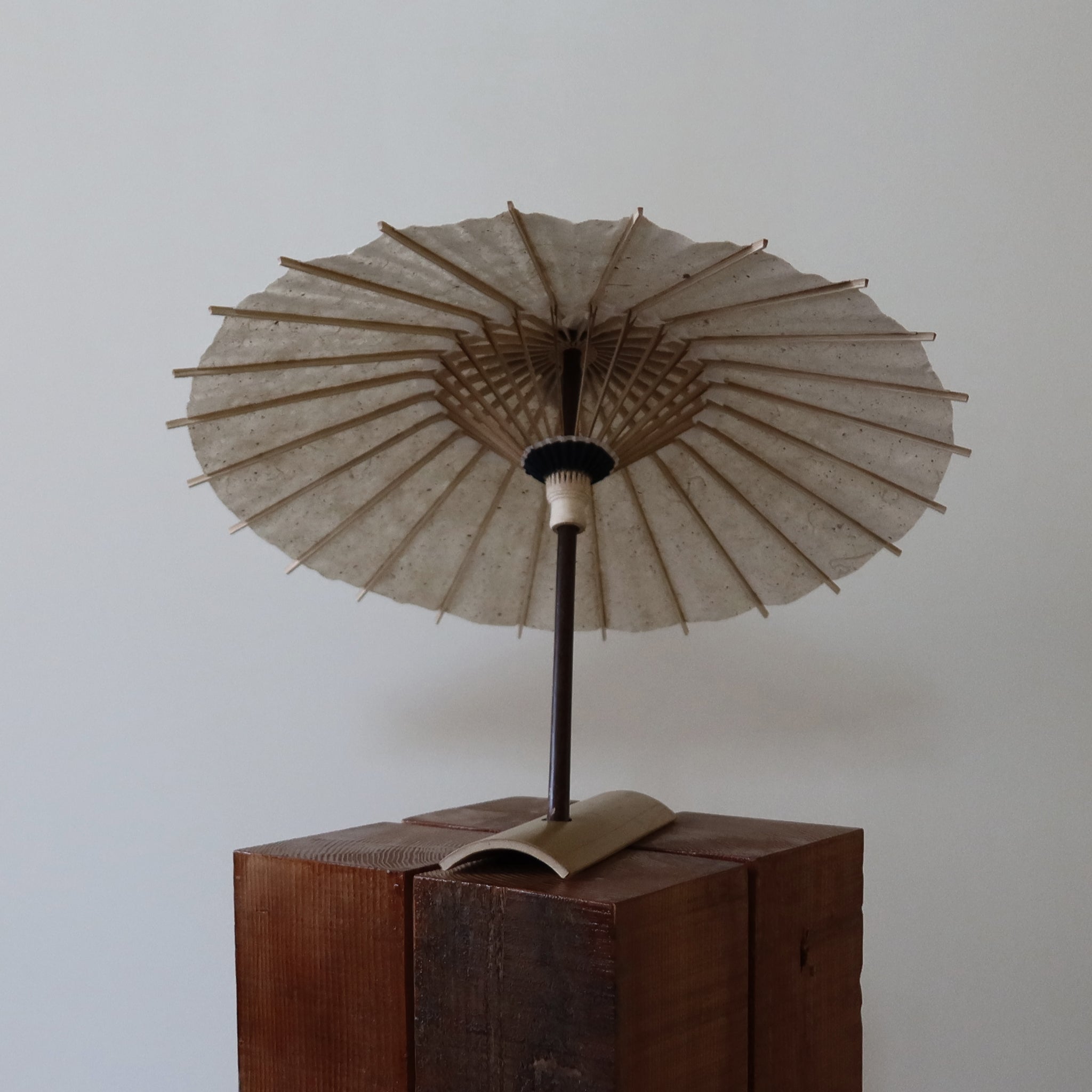 Fubuki | Kurotani Hand - crafted Washi Hime - Wagasa - KURAKURA